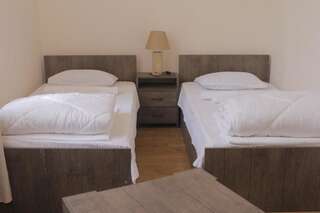 Отель Wald Hotel Lagodekhi Лагодехи Двухместный номер с 2 отдельными кроватями-4